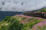 D37_8623.JPG