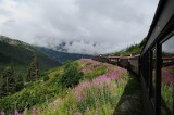 D37_8624.JPG