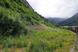 D37_8683.JPG