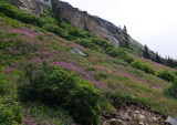 D37_8687.JPG