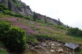 D37_8689.JPG
