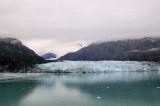 D37_8847.JPG