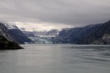 D37_9011.JPG