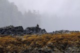 D37_9347.JPG