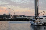 D37_9560.JPG
