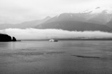 D37_8487 BW.JPG