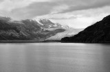 D37_8775 BW.JPG