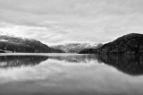 D37_8784 BW.JPG