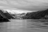 D37_9011 BW.JPG