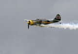 D38_4335.jpg