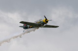 D38_4383.jpg