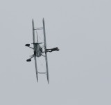 D38_4444.jpg