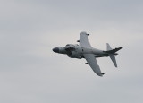 D38_4812.jpg