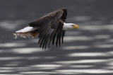 D50_1544.jpg