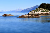 Sea Lion Haul Out - Glacier Bay N.P