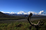 Mt McKinley - Denali N.P.