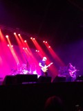 Joe Satriani