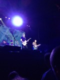 Joe Satriani