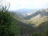 Bear Canyon