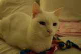 DSC_0021.JPG