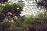 Bloedel Conservatory