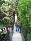 Forest Skyway