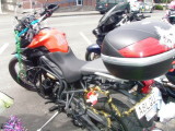 141213 Nelson Toy Run  19.jpg