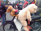 141213 Nelson Toy Run  38.jpg