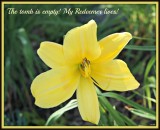 My Redeemer Lives