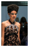 IMG_AFW1273.JPG