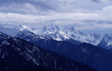 Hurricane Ridge 3