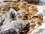 Mammoth Hot Springs Terraces_2 