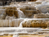Mammoth Hot Springs Terraces_4