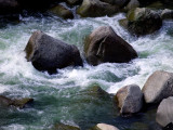 Gardner River Rocks 