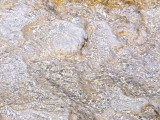 Mammoth Hot Springs Up Close 