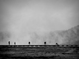 Walking Among the Geysers-Shirley