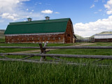 Long Horse Barn Montana_rp.jpg