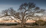 Stanford Hills, CA