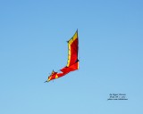 Kites Over Enid 2012