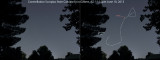 Scorpius from my front yard