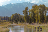 Wyoming 2012-4743.jpg