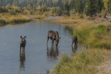 Wyoming 2012-4816.jpg