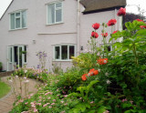 A corner of Dinah's back garden