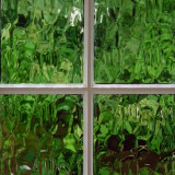 Green Windows 