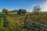 DSC_0716 V.jpg