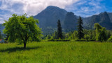 Columbia Gorge Pano 1.jpg