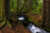 northern_oregon