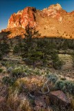 DSC_0799 V.jpg