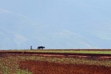 G-DSC_1003-P.jpg