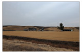 Palouse (Off Highway 26)